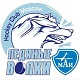 ХК «Ледяные волки» МАИ на Всероссийском фестивале по хоккею