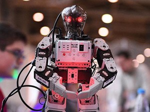 «Кибермуравейник»: российские учёные заставили роботов выживать без участия человека