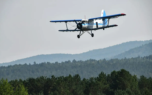 Назад в будущее: зачем России 700 Ан-2